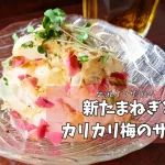 血液サラサラに！新たまねぎとカリカリ梅のサラダ